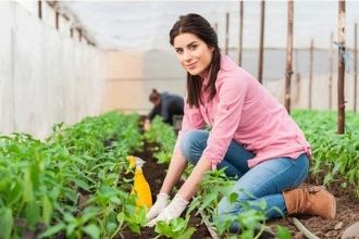Ziraat Koçluğu Yaygınlaşıyor