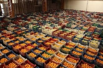 İhracatta 5 Ürün Şampiyon Oldu