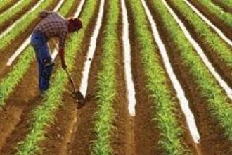 826 İşçi Alımı Kura Sonucu Açıklandı