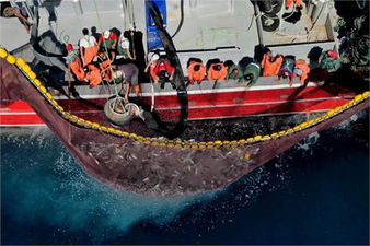 HAMSİ AVININ SERBET OLDUĞU ALAN GENİŞLETİLDİ