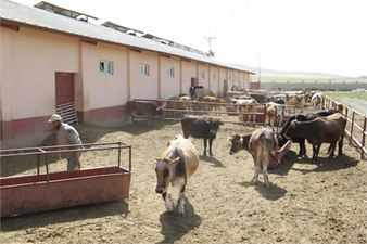 VAN`DA TARIM VE HAYVANCILIK PROJELERİNE 1,5 YILDA 24 MİLYON LİRA HİBE DESTEĞİ VERİLDİ