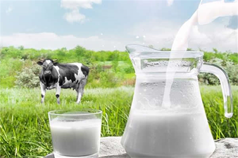 Soğutulmuş Çiğ Süt Tavsiye Fiyatı Açıklandı!