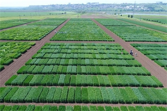 AR-GE PROJELERİNE 30 MİLYON DESTEK VERİLECEK!