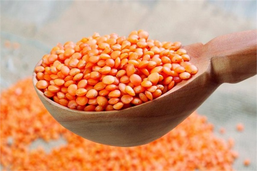 Batman`da Çiftçilere Hibe Destekli Kırmızı Mercimek Tohumu Dağıtıldı