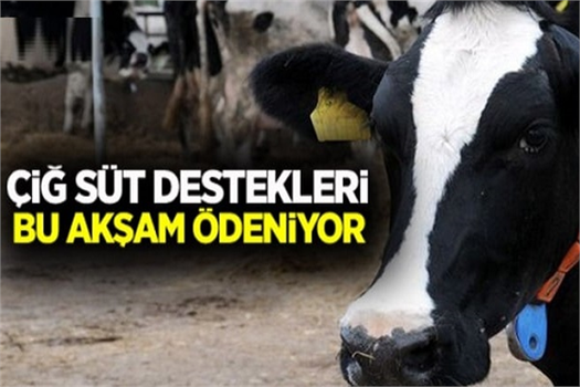 BAKAN PAKDEMİRLİ: YAKLAŞIK 809 MİLYON LİRALIK DESTEK ÖDEMESİNİ BU AKŞAM ÜRETİCİLERİMİZİN HESAPLARINA AKTARMAYA BAŞLIYORUZ