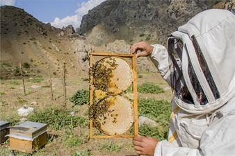 2021 YILI HAYVANCILIK DESTEKLEMELERİ