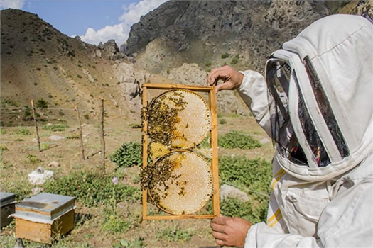 2021 YILI HAYVANCILIK DESTEKLEMELERİ