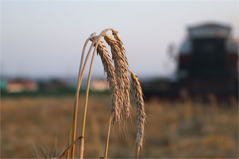 TARIMSAL İŞLETMELERE 600 LİRA DESTEK VERİLECEK