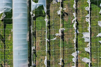 2022 yılı Devlet Destekli Tarım Sigortaları Genel Şartlar ile Tarife Talimatları Yayınlandı