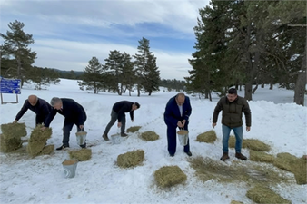 Yaban Hayvanları İçin Doğaya 500 Kilogram Yem Bırakıldı