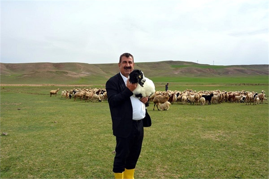 TÜDKİYEB Başkanı Çelik, Kuzu Kayıplarının Önlenmesi İçin Yetiştiricileri Uyardı