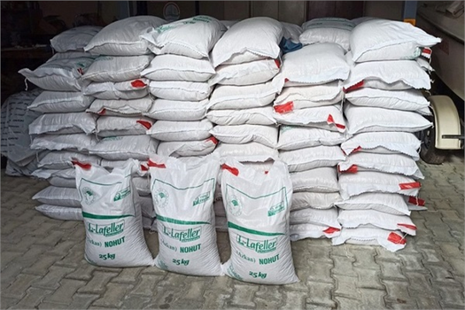 Üreticiye Hibeli Nohut Tohumu Verildi