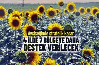 Ayçiçeği Üretiminde 4 İlde 7 Bölgeye Daha Destek Verilecek
