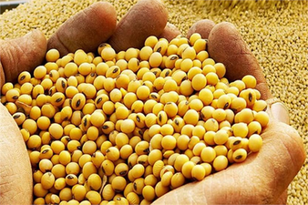 GDO Kararı Resmi Gazete`de!