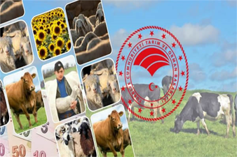 DESTEK ÖDEMELERİ BUGÜN BAŞLIYOR!