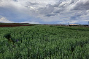 Su Riskleri Projesi Başlıyor