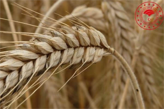 DESTEKLER BUGÜN HESAPLARA YATACAK!