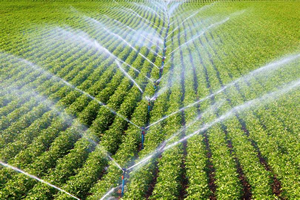 Su Alanındaki İşbirliğinin Ana Çerçevesi Belirlendi