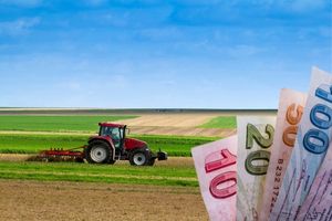 Tohum Desteği İki Kattan Fazla Artırılacak