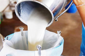 ÇİĞ SÜT DESTEKLEMELERİ AÇIKLANDI