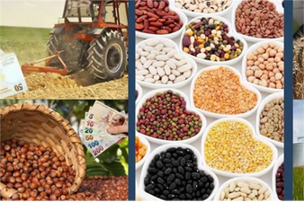 DESTEK ÖDEMELERİ BUGÜN BAŞLIYOR