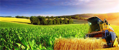 Tarımsal Üretime Yönelik Tedbirler Öne Çıktı