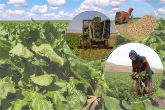 452 MİLYON LİRALIK AVANS HESAPLARDA!