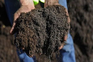 Tarım Kredi, Limitli Değil Üreticinin İhtiyacı Kadar Girdi Sağlayacak