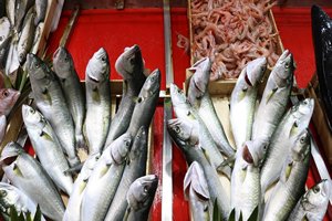 Su Ürünleri Desteklemesi İçin Üreticiler 23 Aralık`a Kadar Başvuru Yapabilecek