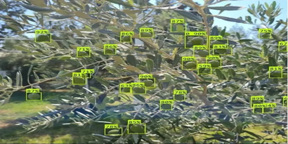 Merve ARAL ve Ekibi`nin, Tabit Desteğiyle `Görüntüleme Teknikleri ile Zeytin Ağaç Yükü ve Rekolte Tahmini` Konulu Projesi Tübitak Tarafından Onaylandı!