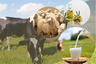 1,3 MİLYAR LİRALIK DESTEK BUGÜN ÖDENİYOR!