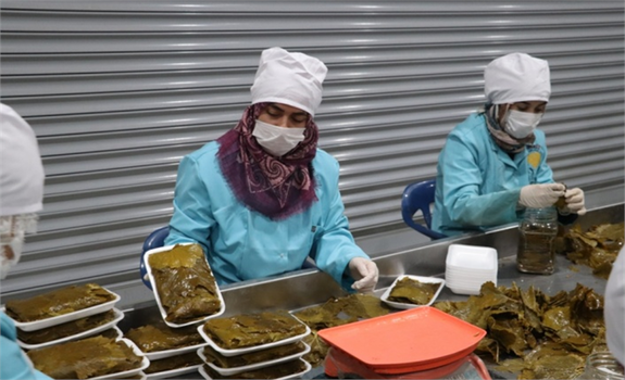 Siirt`te Kooperatif Kuran Kadın Girişimciler Salamura Yaprak Üretimine Başladı