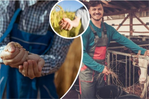 UZMAN ELLER PROJELERİNE EK SÜRE İMKANI GETİRİLDİ