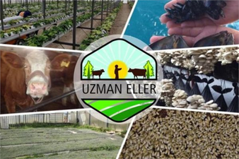 UZMAN ELLER PROJE BAŞVURULARI BAŞLADI!