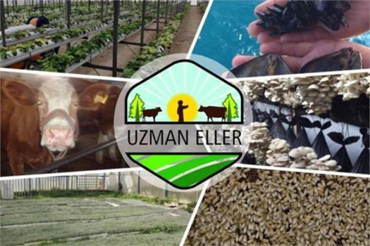 UZMAN ELLER PROJE BAŞVURULARI BAŞLADI!