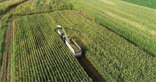 TÜRK ÖZEL SEKTÖRÜ YURT DIŞI TARIMSAL YATIRIMLARINI `ÜLKE MASALARI` İLE ARTIRACAK