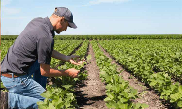 DESTEKLEMELER ÖDENİYOR!