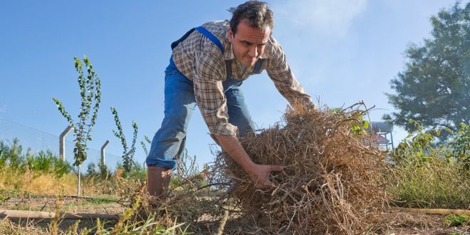 Tarımın İzini Sürmek İçin Yepyeni Bir Fırsat