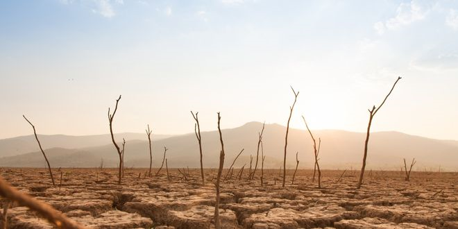 Mültecilerin Su Ayak İzi Küresel Ölçekte Yükseliyor