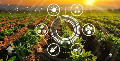 Yapay Zeka Tarımı Nasıl Değiştiriyor?