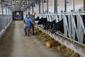 Artık İşi Robotlar ve Teknoloji Yapıyor