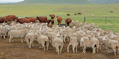 DESTEKLEMELER ÖDENİYOR!