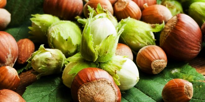 Aydemir: `Fındık 100 TL Olmalı`