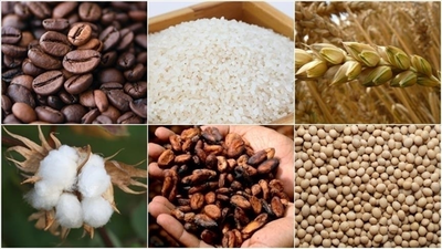 Emtia Piyasasında Geçen Hafta Sert Dalgalanmalar Öne Çıktı