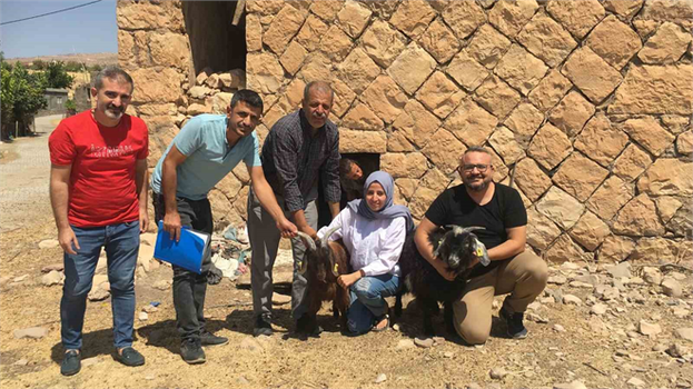 Siirt`te Genç Girişimci Kadına 63 Keçi Verildi