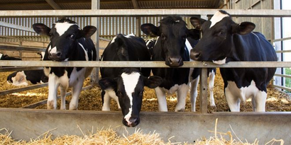DESTEKLEMELER ÖDENİYOR!