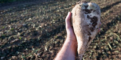 Sulama Avans Ödemeleri Yapıldı!