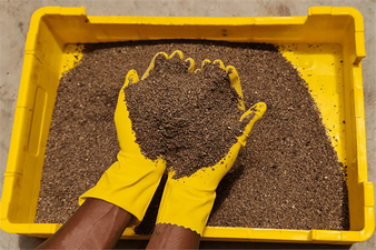 Dünyanın İlk Modüler Böcek Çiftliği Projesi Başlıyor