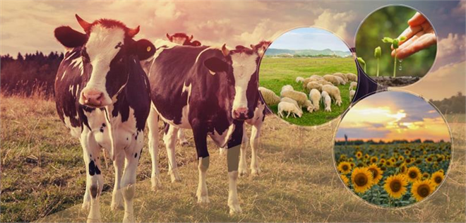 DESTEKLEMELER ÖDENİYOR!