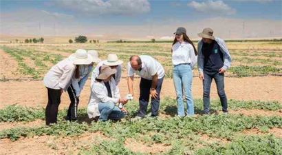 Selçuk Üniversitesi, Karpuz ve Kavun Üretiminde Su Tasarrufunu Hedefliyor